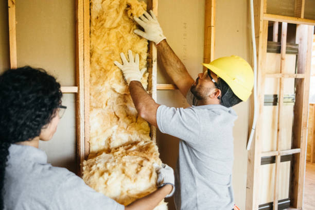 Best Insulation Replacement Services  in Flower Hill, NY