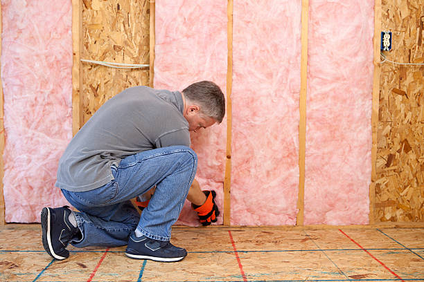 Best Blown-in Insulation  in Flower Hill, NY